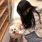 武祖之林动乾坤官方版下载